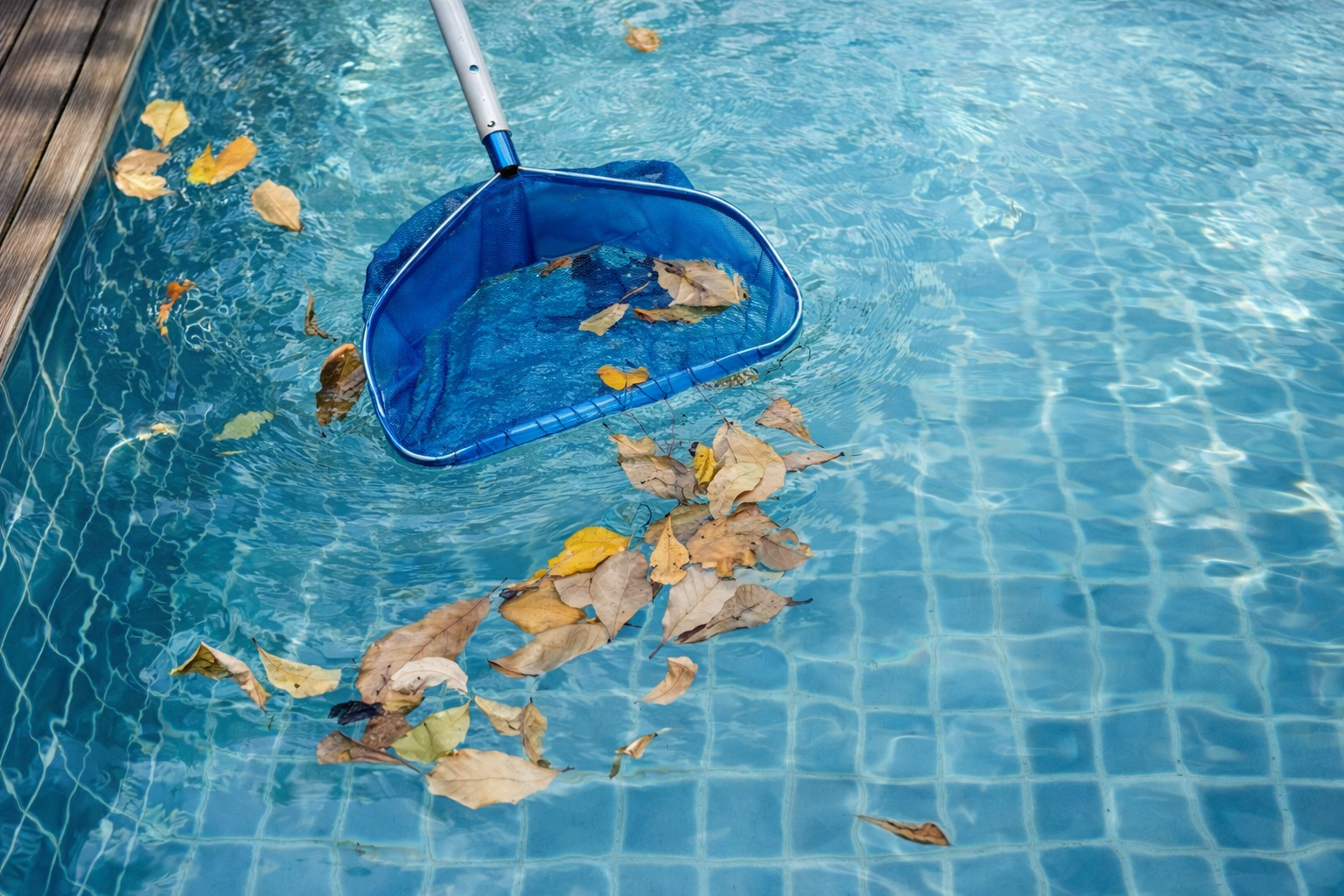 Piscina antes (sujeira na superfície)